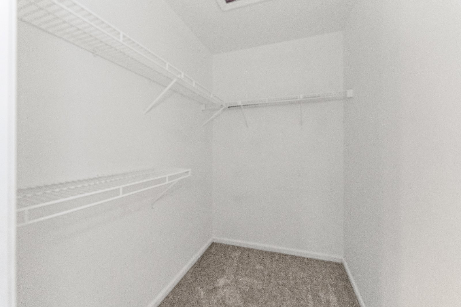 Amazing Opportunity Awaits! - 3 Bed/ 2.5 Bath Spacious Colonial on 1.5 Acres in the Award-Winning Voorheesville School District. property image