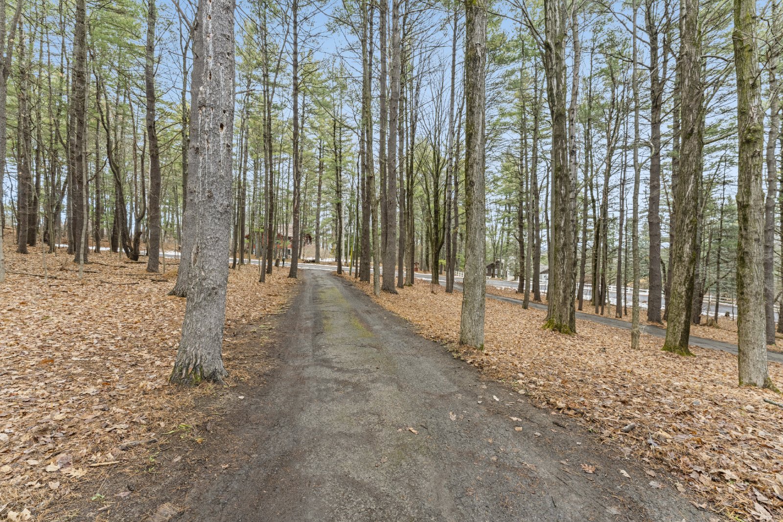 Amazing Opportunity Awaits! - 3 Bed/ 2.5 Bath Spacious Colonial on 1.5 Acres in the Award-Winning Voorheesville School District. property image