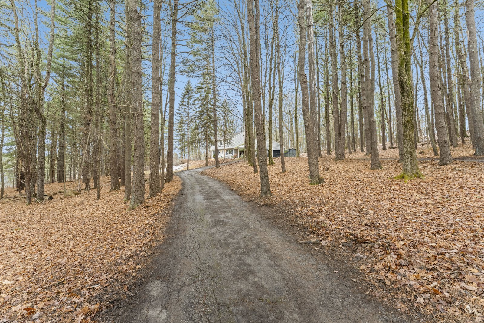 Amazing Opportunity Awaits! - 3 Bed/ 2.5 Bath Spacious Colonial on 1.5 Acres in the Award-Winning Voorheesville School District. property image