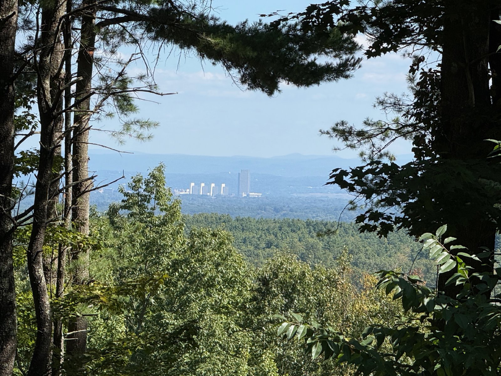 Amazing Opportunity Awaits! - 3 Bed/ 2.5 Bath Spacious Colonial on 1.5 Acres in the Award-Winning Voorheesville School District. property image