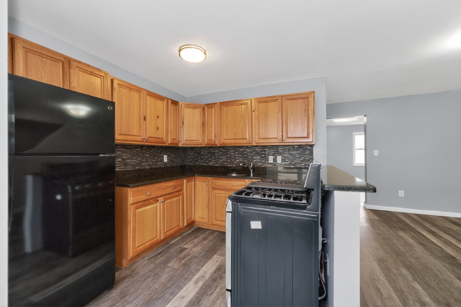Beautiful, Modern, Townhome with Garden Apartment in the Ten Broeck Triangle of Albany property image
