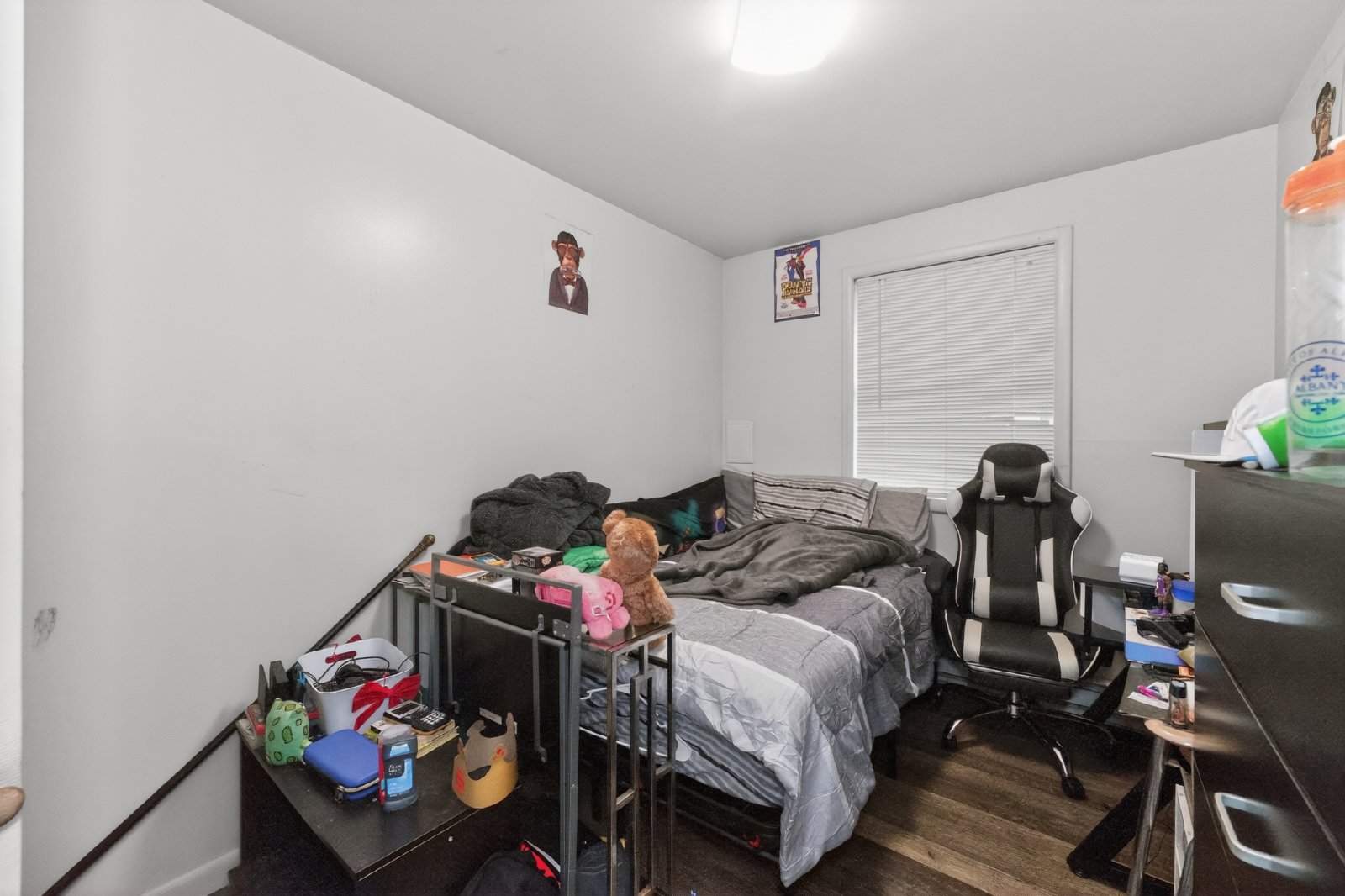 Beautiful, Modern, Townhome with Garden Apartment in the Ten Broeck Triangle of Albany property image