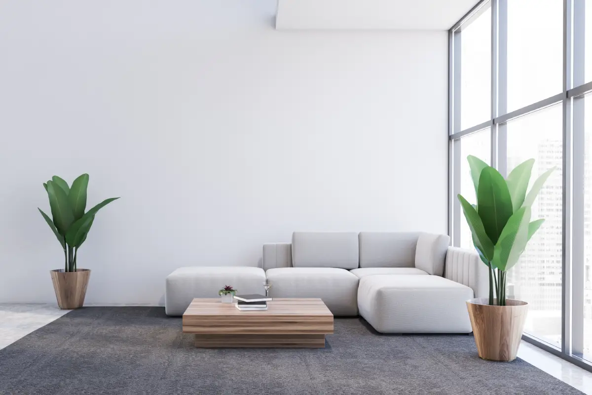 Albany Landlord Success Blueprint: Proven Ways to Attract and Keep Quality Tenants